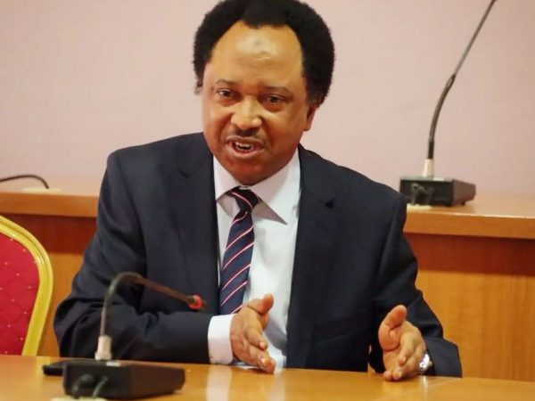 NNPP Would Have Remained Unknown Without Him – Shehu Sani Reacts To Kwankwaso Suspension