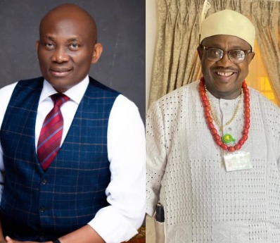 Appeal court sacks Ndudi Elumelu and affirms LP candidate winner of House of Reps seat in Delta