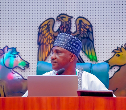 Nigerian government to regulate Artificial Intelligence – Tajudeen Abbas