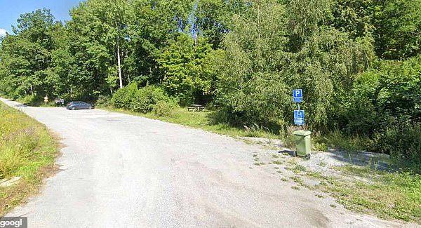 16-year-old girl and her brothers ‘lure taxi driver into the woods before hanging him in revenge for r@ping her’