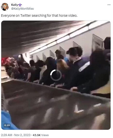 Shocking video of man being mounted by horse causes the case of Mr Hands to trend again (+18)