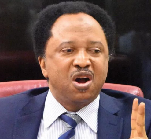 “It will send a clear message” Shehu Sani back NLC and TUC on planned strike