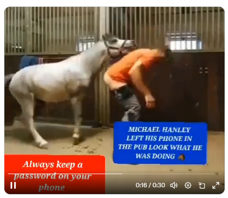 Shocking video of man being mounted by horse causes the case of Mr Hands to trend again (+18)