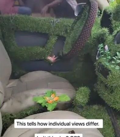 Nigerian Man Uses Grass To Redesign His New Car