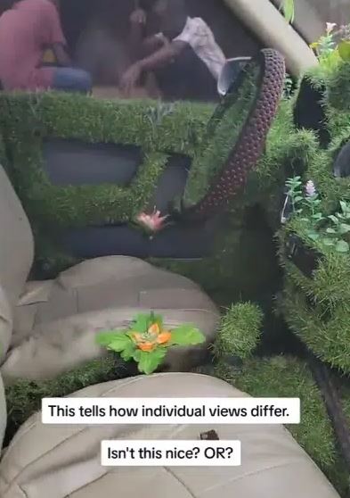 Nigerian Man Uses Grass To Redesign His New Car