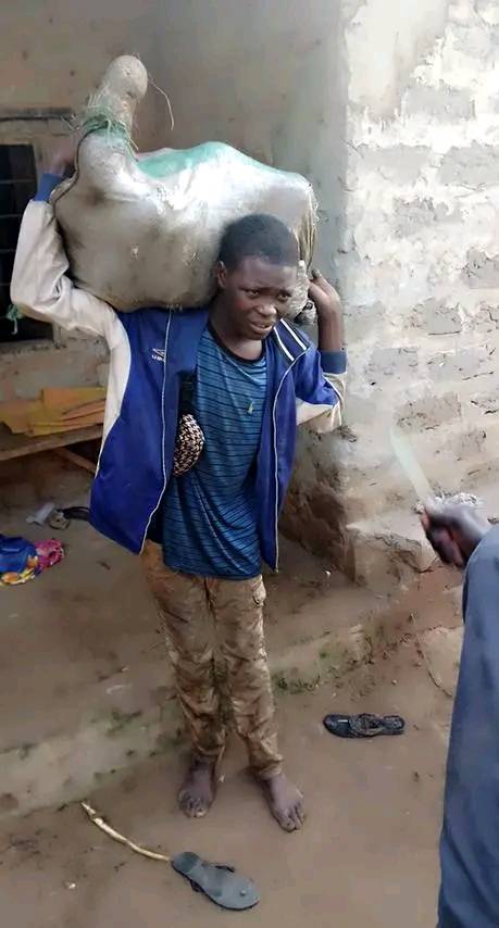 Young man caught stealing tubers of yam in Nasarawa community