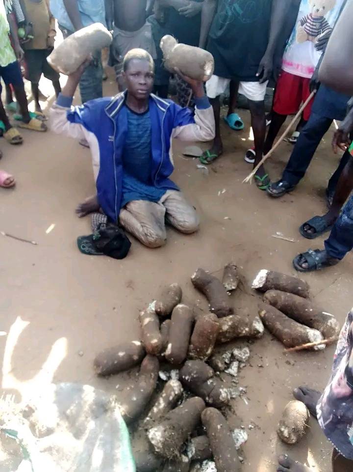 Young man caught stealing tubers of yam in Nasarawa community