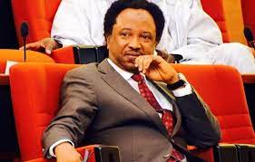I wonder why Abuja ladies’ cars mostly breaks down in Maitama, Asokoro and Wuse 2 areas – Senator Shehu Sani