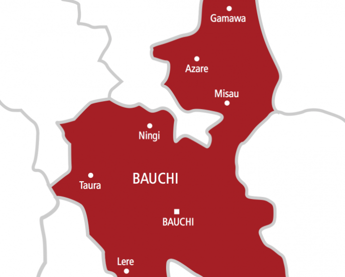 Police arrest Bauchi university student with pistol