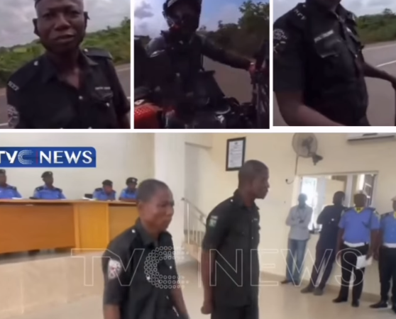 Nigeria Police dismiss special constabularies who attempted to extort Dutch tourist