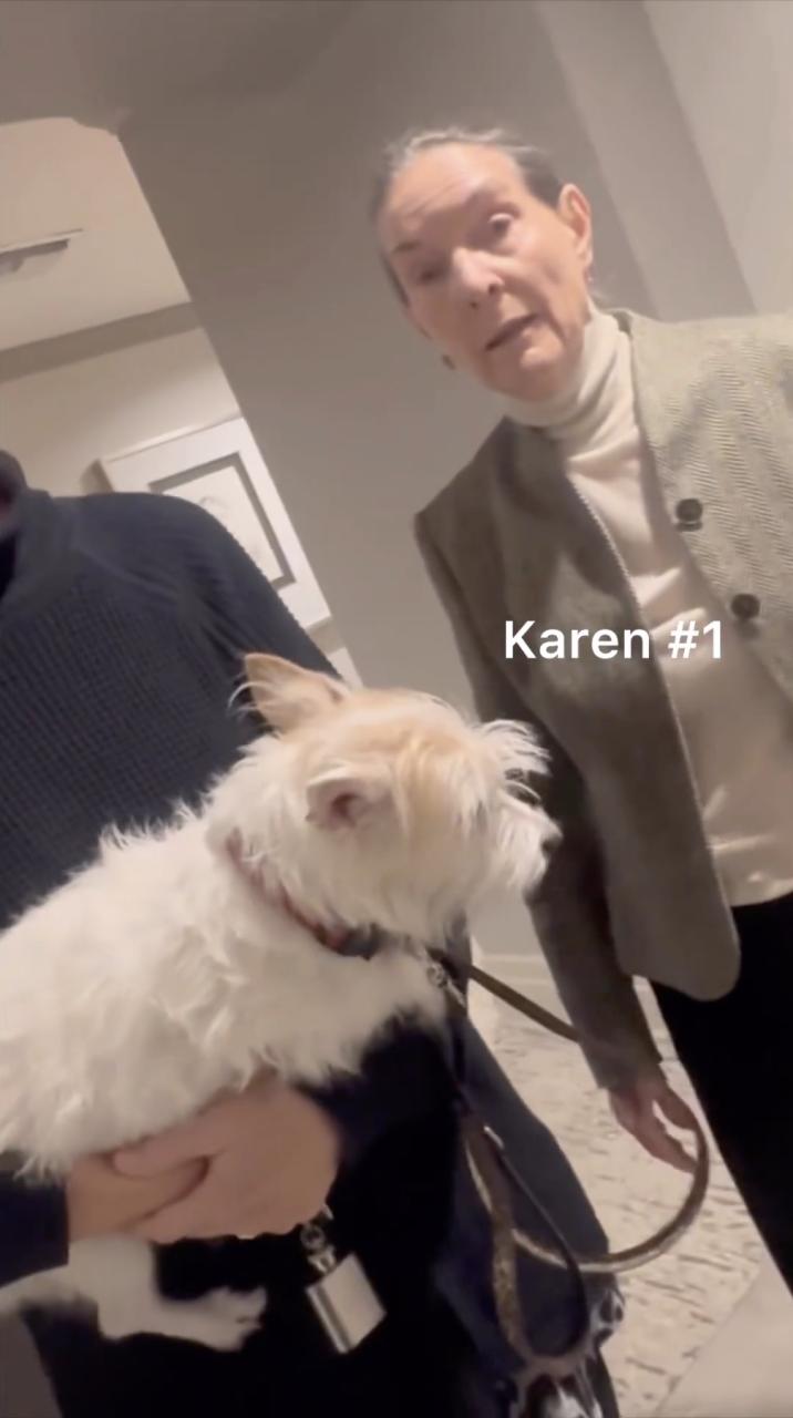 Shocking moment Black female Amazon driver is attacked by rich white women as she delivered a package  (video)