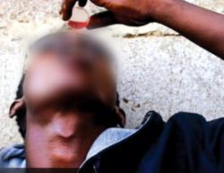 Borno youths drinking fermented urine and lizard dung to get high – NDLEA says