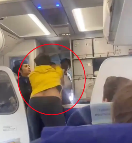Passenger hits pilot over 13-hour flight delay in shocking video