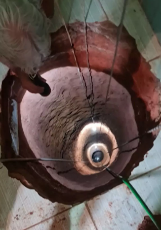 Man dies after falling down 130ft hole he dug in his kitchen after dreaming gold was buried there