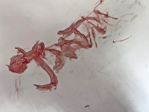 Brave mum wrote abusive boyfriends name on the wall with her own blood so police can catch him if she d!es