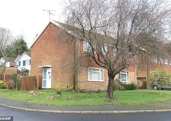 Mother and her two children are rushed to hospital after being ‘poisoned’ at their home as woman is arrested