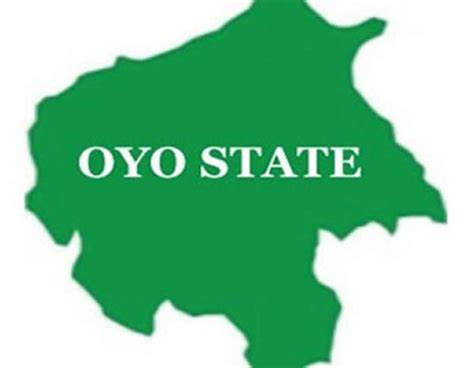 Oyo traditional ruler suspended over alleged ties with illegal miners
