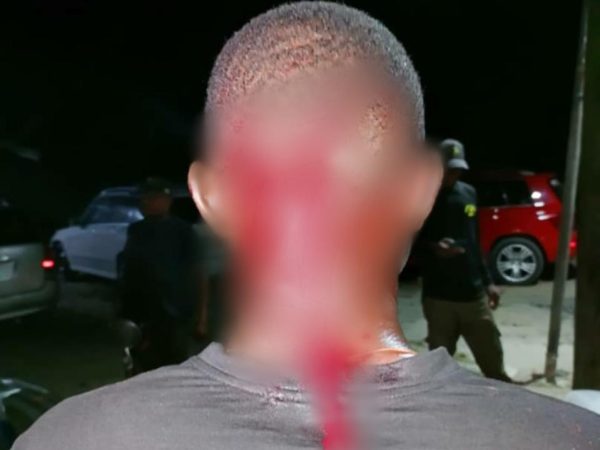 Delta Police PPRO reacts to ongoing protest against alleged police brutality, says occupants of unregistered car attacked cops while resisting arrest