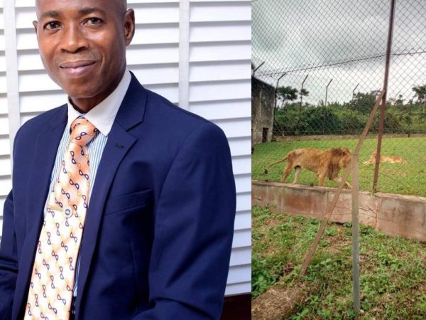 Lion kills OAU zoo keeper while feeding animals