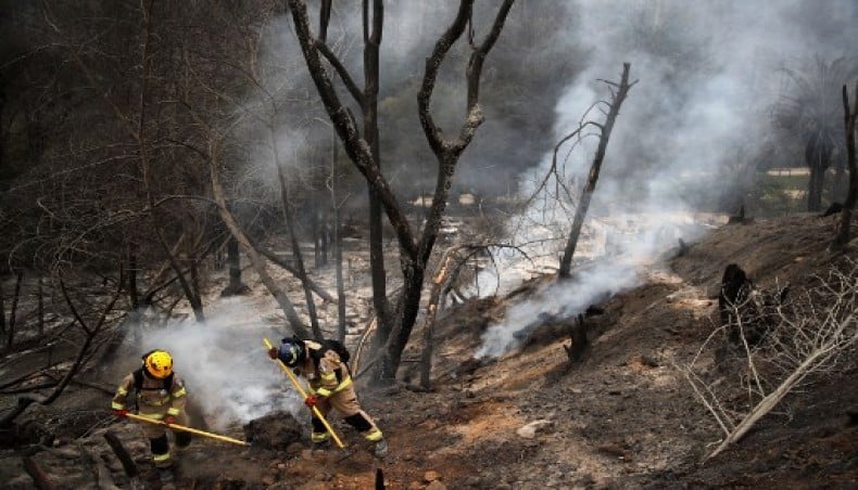 Death toll in Chile fires reaches 112 as country experiences its�worst�disaster