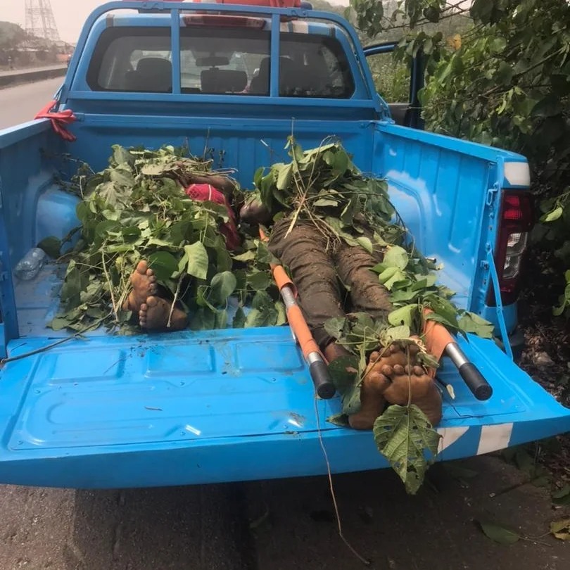 Four die in Ogun auto crash