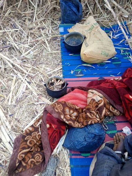 Police arrest Kaduna bandit planning to set up camp in Kano forest