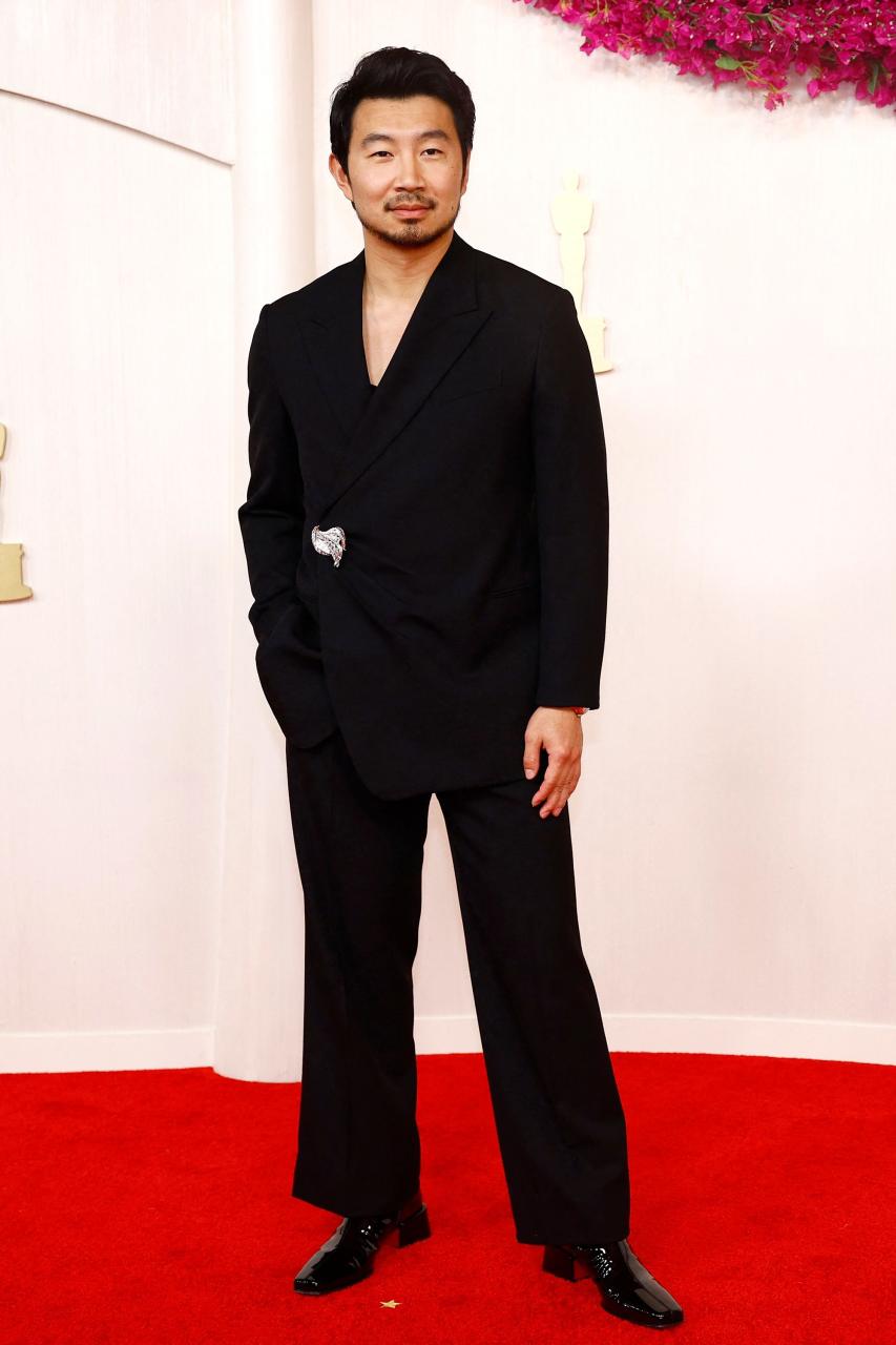 Red carpet looks at the 2024 Oscars award (photos)