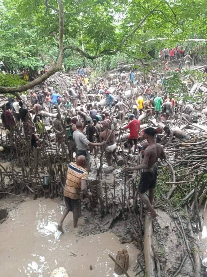 Heaps of fish gathered as Ogba Land celebrates fishing festival in Rivers State (photos/video)
