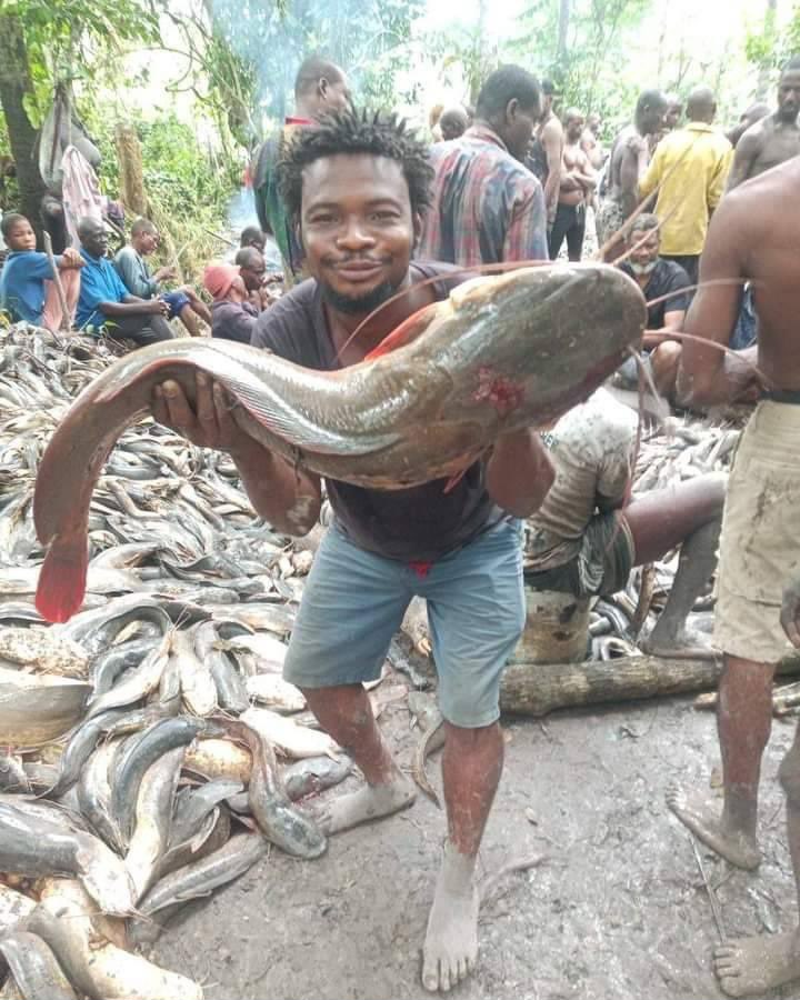 Heaps of fish gathered as Ogba Land celebrates fishing festival in Rivers State (photos/video)