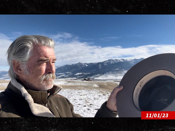 Actor Pierce Brosnan pleads guilty to illegal hiking charge in Yellowstone case