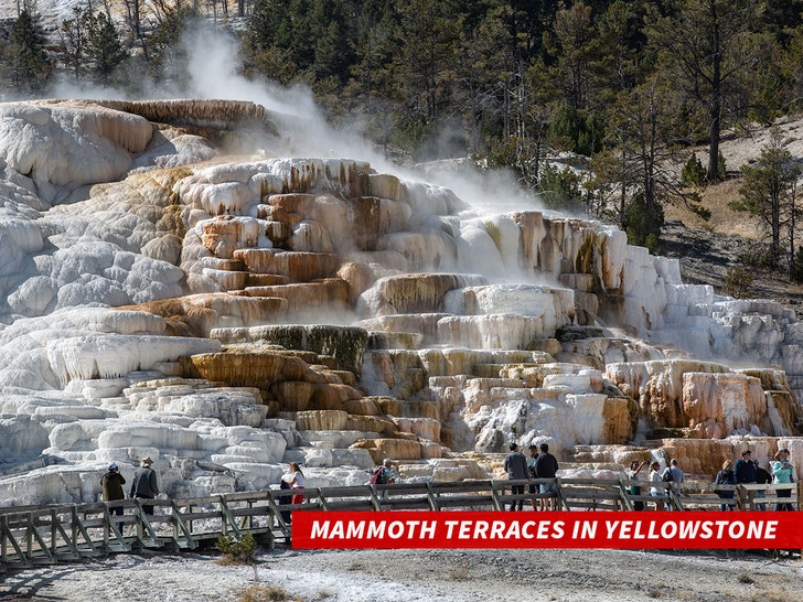 Actor Pierce Brosnan pleads guilty to illegal hiking charge in Yellowstone case
