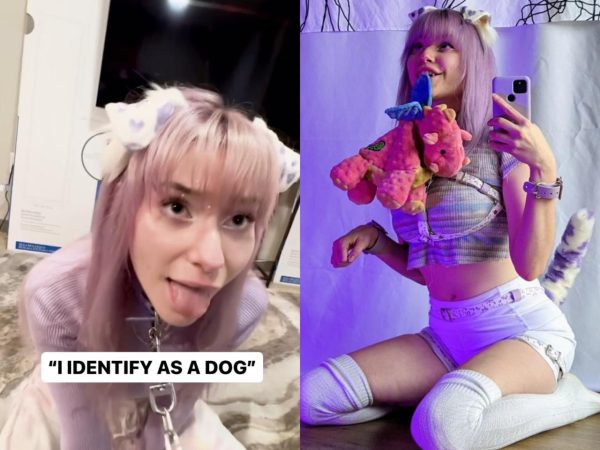 Meet the Woman who identifies as a dog, has a handler and sleeps in a crate (video)