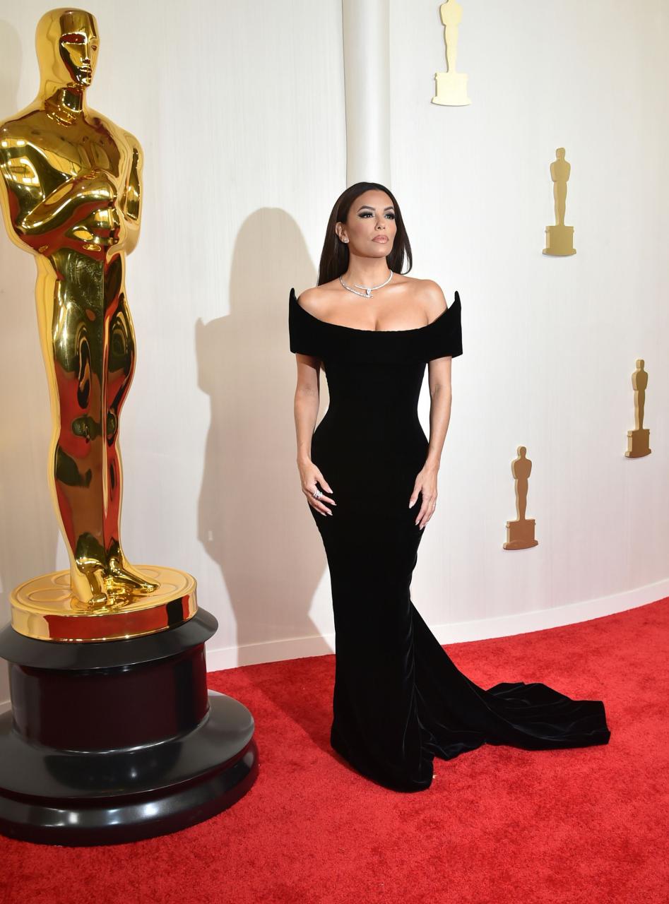 Red carpet looks at the 2024 Oscars award (photos)