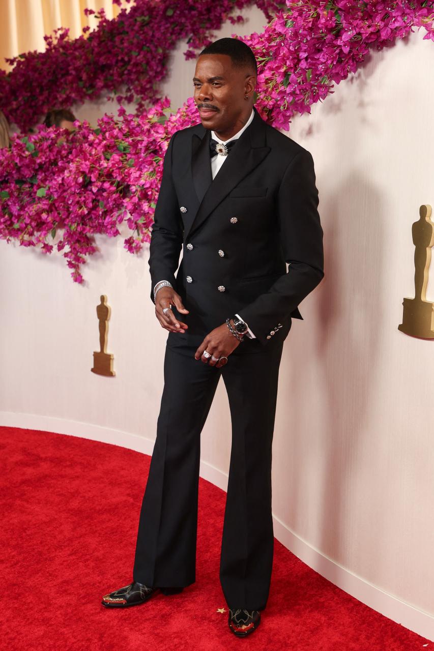 Red carpet looks at the 2024 Oscars award (photos)