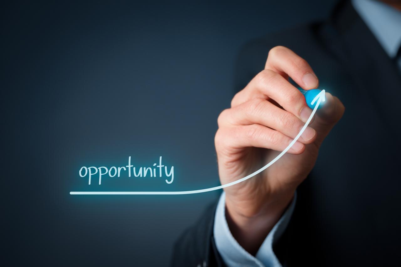 Defining Risk and Opportunity - IRIS Intelligence Blog