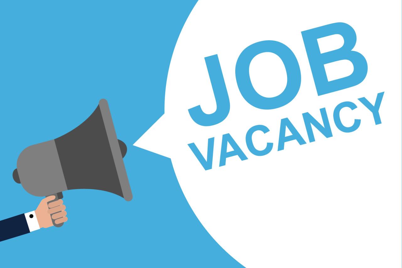 Project Management Analyst Job at MainOne Cable