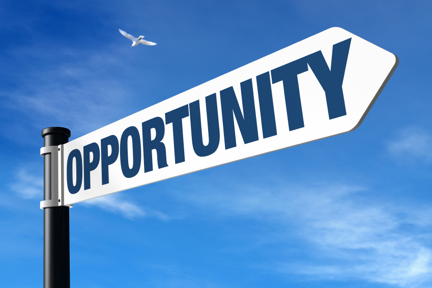 Creating and maintaining opportunities in business — Lionesses of Africa