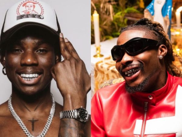 Rema And Asake Set New Afrobeats Records