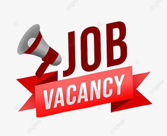 Executive Director Job at Golden Oil Industries Limited