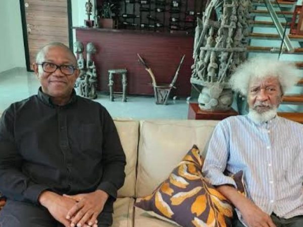 I hope Peter Obi does not express interest in the next election – Soyinka