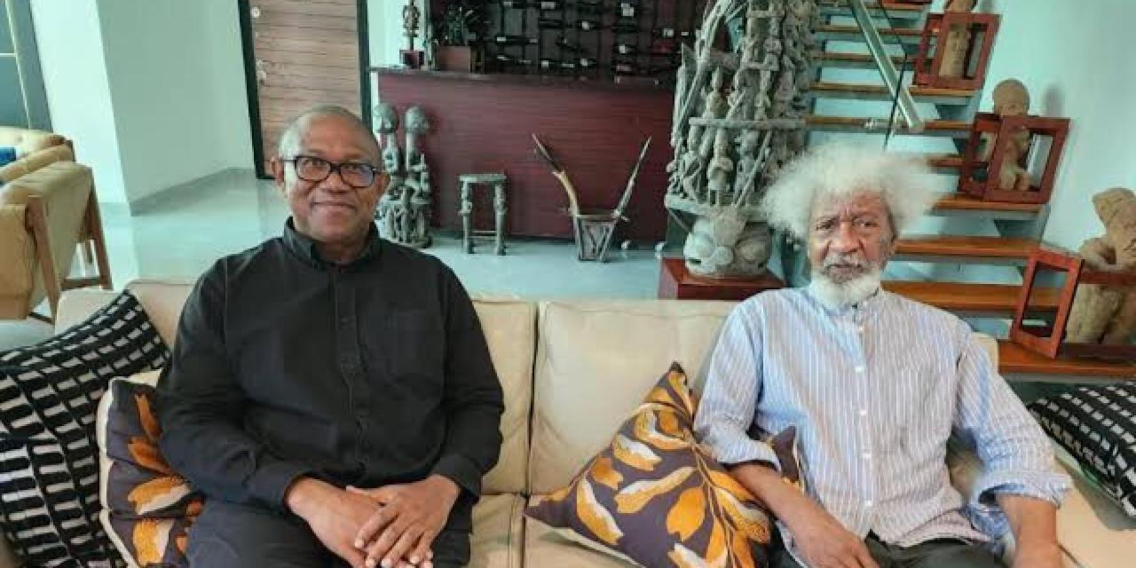 I hope Peter Obi does not express interest in the next election – Soyinka