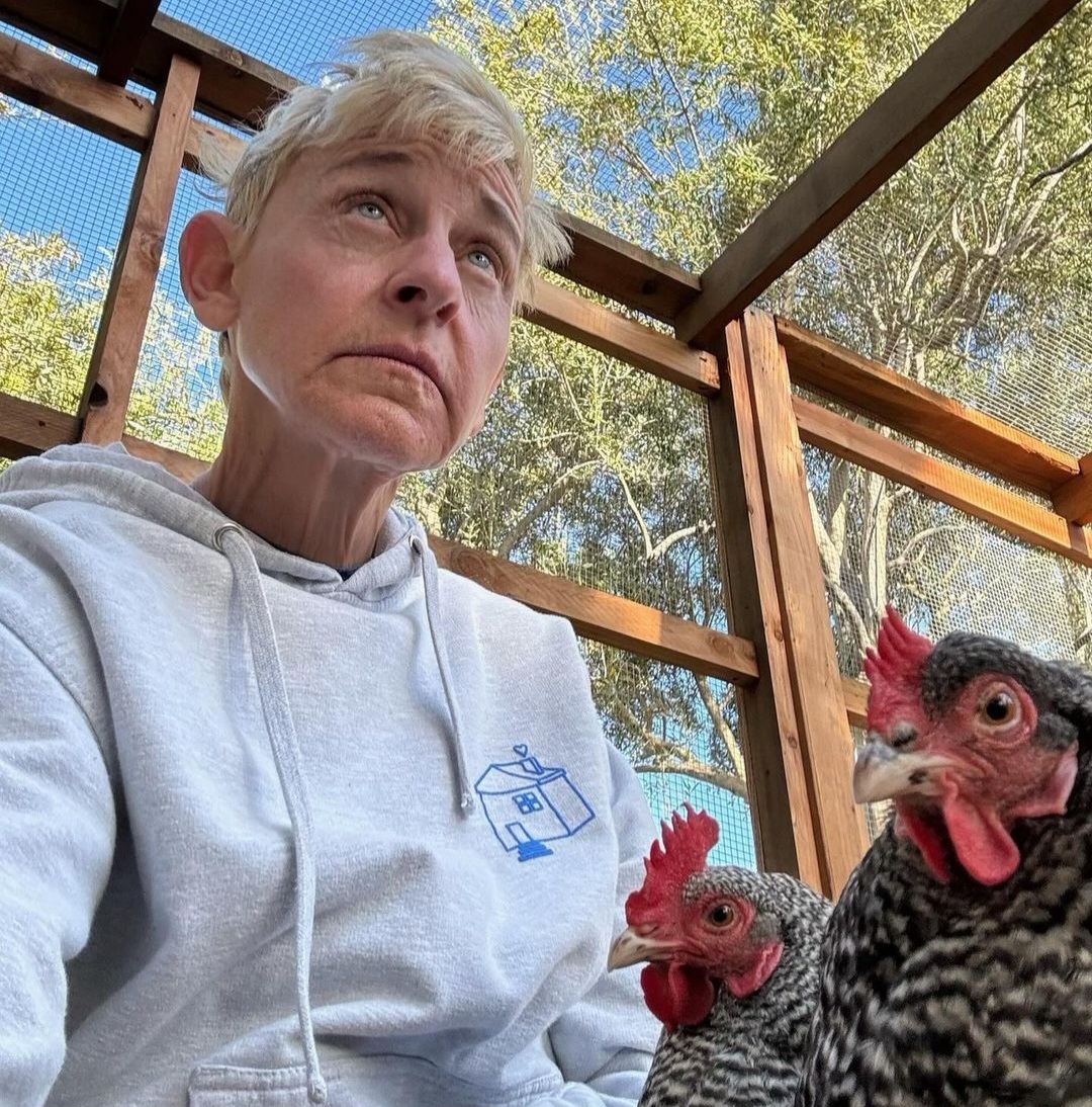 Ellen DeGeneres shamed for looking old in new photo