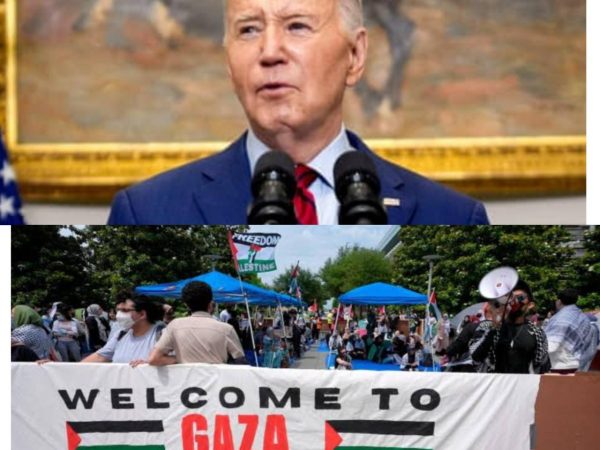 ‘America is not an authoritarian nation but order must prevail’ – US president Joe Biden finally reacts to anti-Gaza protesters shutting down American Universities (video)