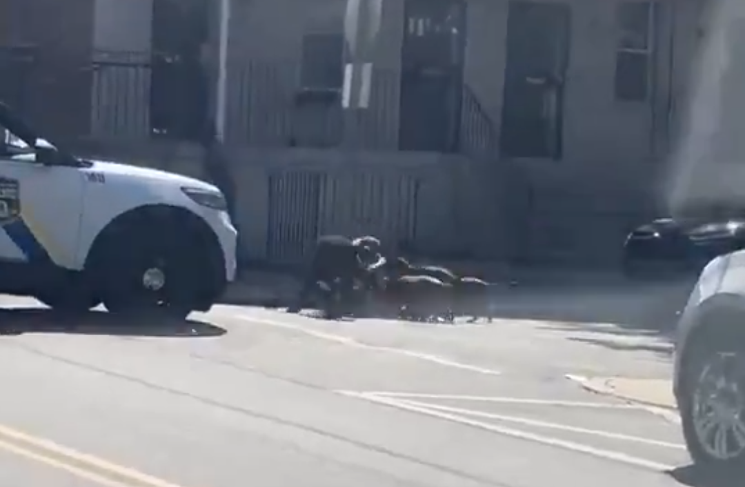 Four pitbull dogs maul man on street in broad daylight after he tried protecting his dog from being attacked (video)