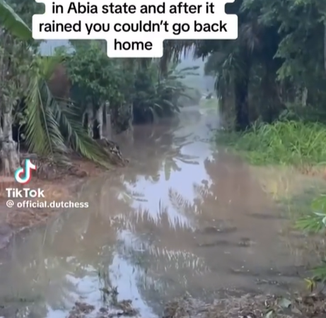 TikTok user shares video capturing state of a road in an Abia community after it rained
