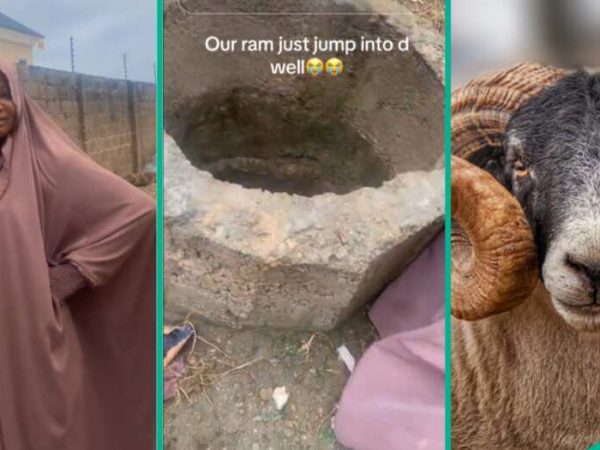 Five alternatives to Ram in Sallah