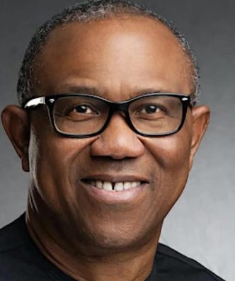 President Tinubu has kept to his campaign promises to continue from where Buhari stopped and has done very well. Dollar, fuel, diesel, food prices have all gone up – Peter Obi