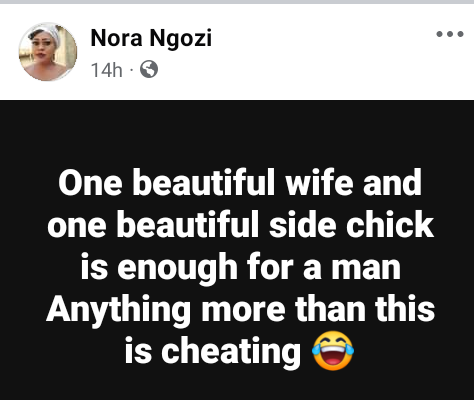 "One beautiful wife and one beautiful side chick are enough for a man. Anything more than this is cheating" - Nigerian woman says