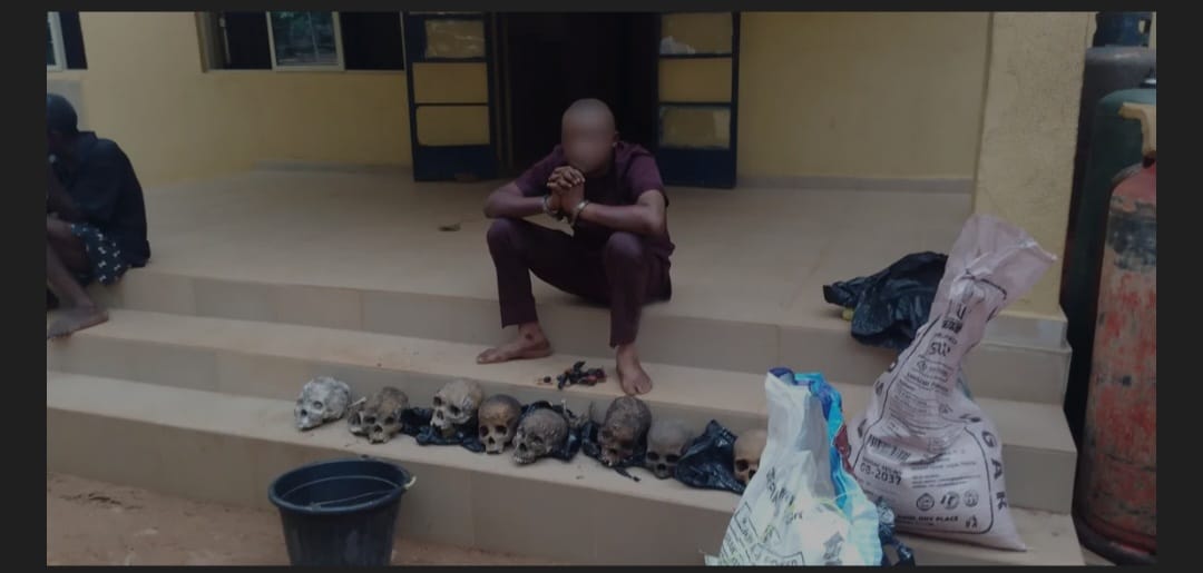 Police arrest suspected ritualist with eight human skulls in Ondo