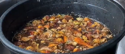 Are you tired of buying expensive tomatoes? Then learn how to prepare and use dry tomatoes (video)